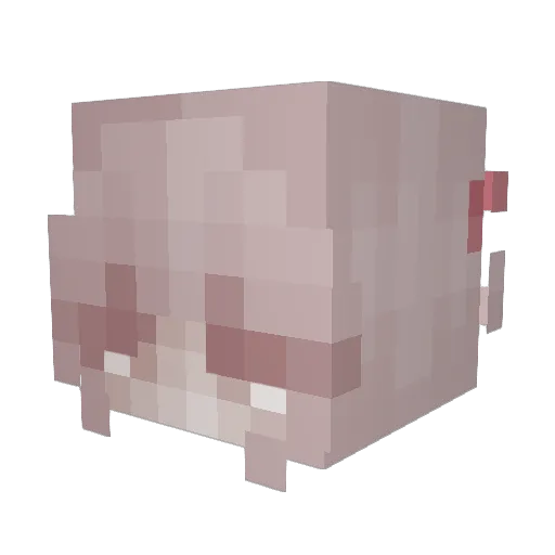 AnnaPlayzM Minecraft avatar head, 3D render