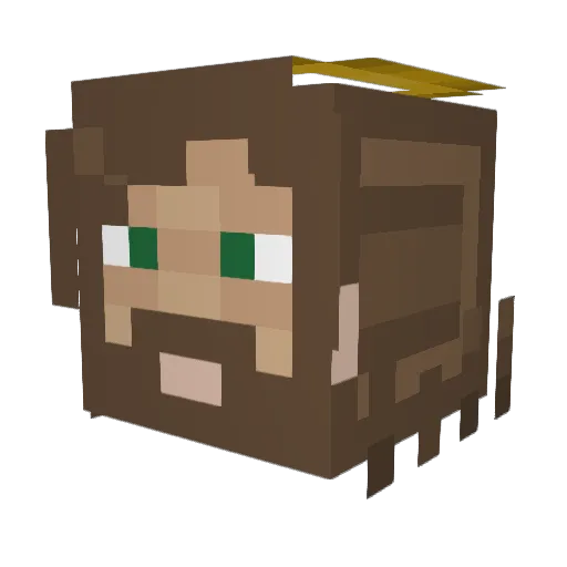 AnnaThyFR Minecraft avatar head, 3D render