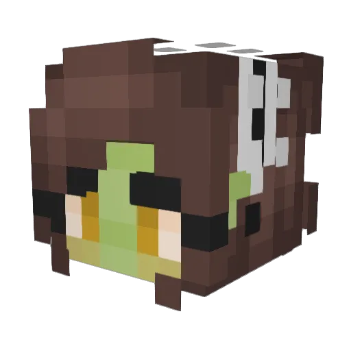 Anna_Fleur Minecraft avatar head, 3D render