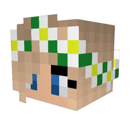 Anna_bug06 Minecraft avatar head, 3D render