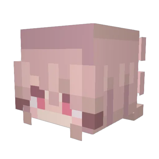 Anna_chuchu Minecraft avatar head, 3D render