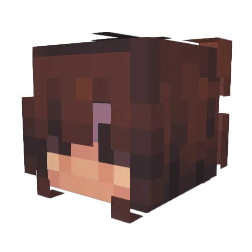 Annaaa05 Minecraft avatar head, 3D render