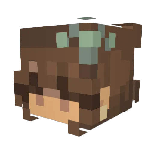 Annabel138 Minecraft avatar head, 3D render