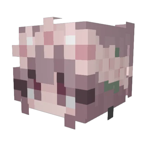AnnabelDark Minecraft avatar head, 3D render
