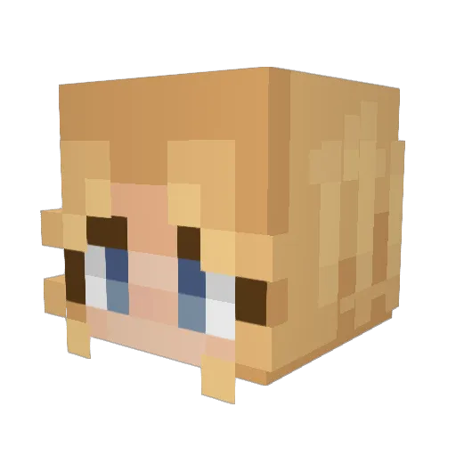 AnnabethOwl Minecraft avatar head, 3D render