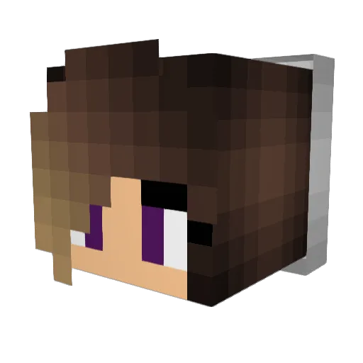 Annaelise18 Minecraft avatar head, 3D render