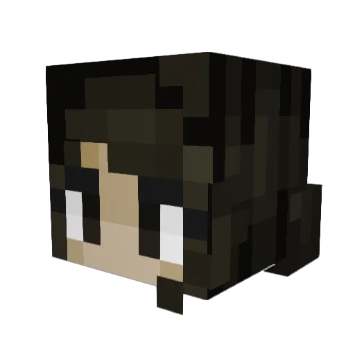 Annaiscool911 Minecraft avatar head, 3D render
