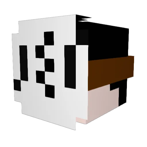 AnnaleeX Minecraft avatar head, 3D render