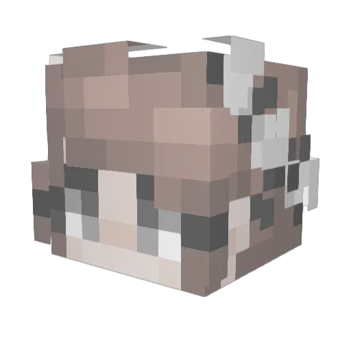 Annalexis Minecraft avatar head, 3D render