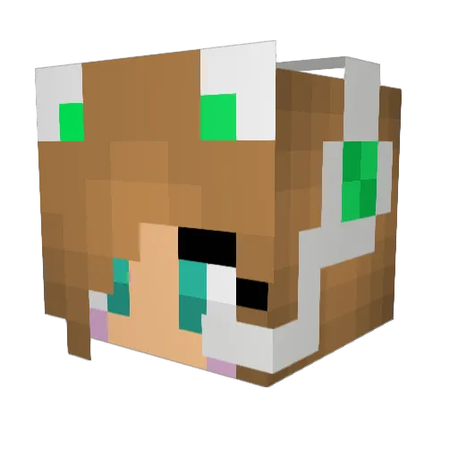 Annanater Minecraft avatar head, 3D render