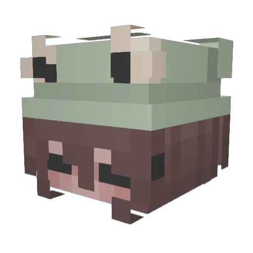 Annaspanna6 Minecraft avatar head, 3D render