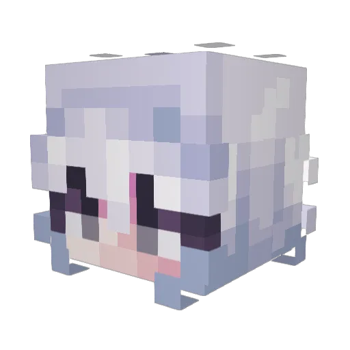 AnnaxD14 Minecraft avatar head, 3D render