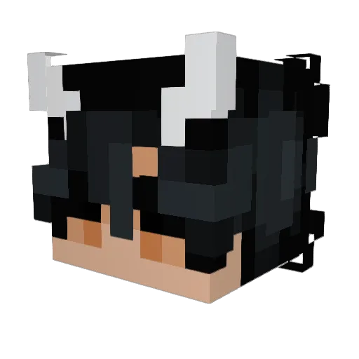 Anndrew19 Minecraft avatar head, 3D render