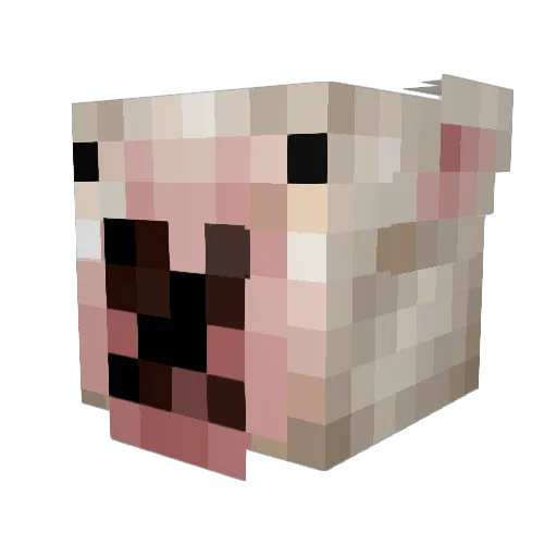 AnneBoef Minecraft avatar head, 3D render