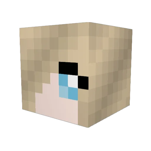 AnneCooks Minecraft avatar head, 3D render