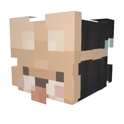 AnneDyye Minecraft avatar head, 3D render