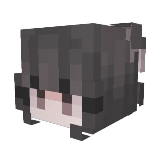 Annefy Minecraft avatar head, 3D render
