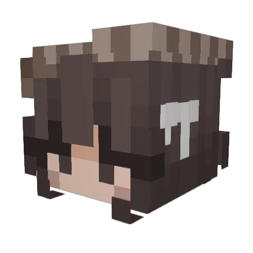 Anneliesa Minecraft avatar head, 3D render