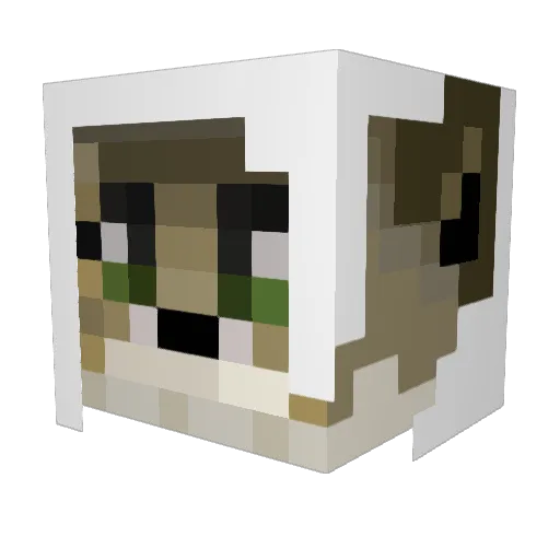 AnneliseFox Minecraft avatar head, 3D render