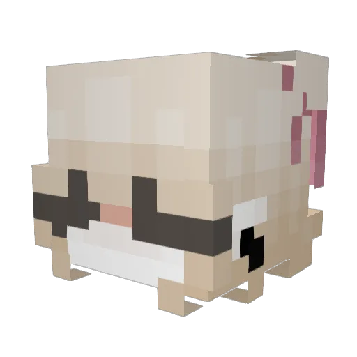 Anni_xlr Minecraft avatar head, 3D render