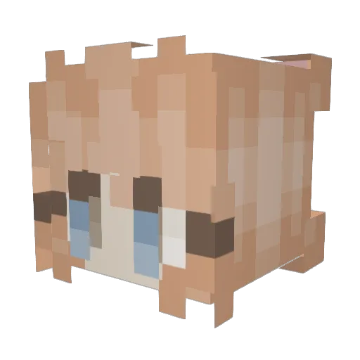AnnieDoodlez Minecraft avatar head, 3D render