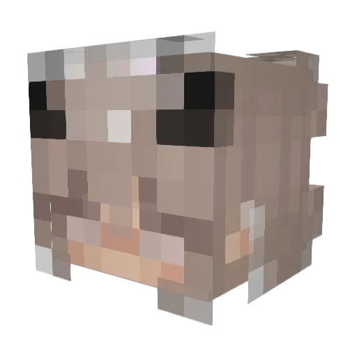 Anniixx Minecraft avatar head, 3D render