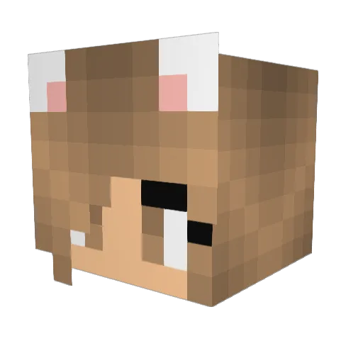 Annikac0284 Minecraft avatar head, 3D render