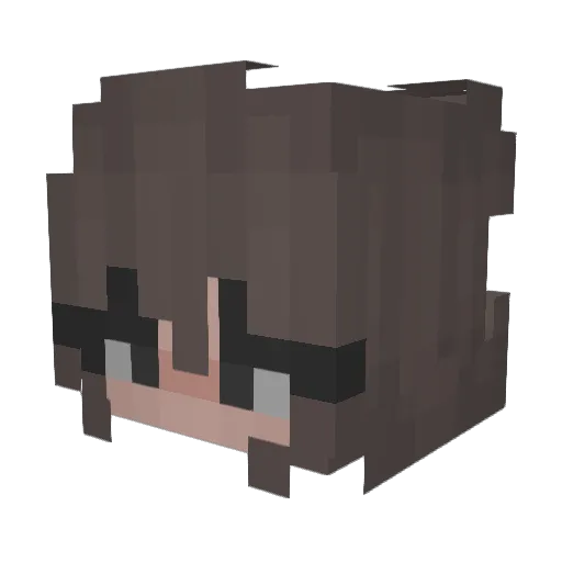 Annnnilyn_ Minecraft avatar head, 3D render