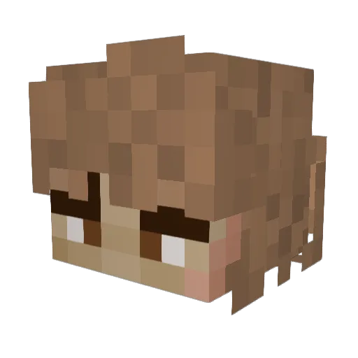 AnnoHope Minecraft avatar head, 3D render