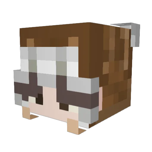 Annoyancer Minecraft avatar head, 3D render