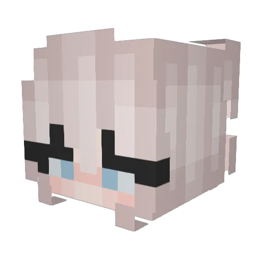 Annoyed1 Minecraft avatar head, 3D render