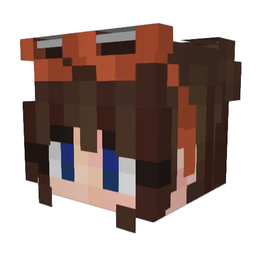 AnnoyingMoth Minecraft avatar head, 3D render