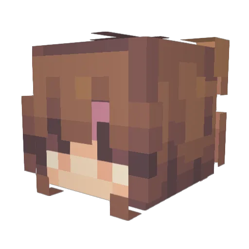 AnnoyingPyro Minecraft avatar head, 3D render