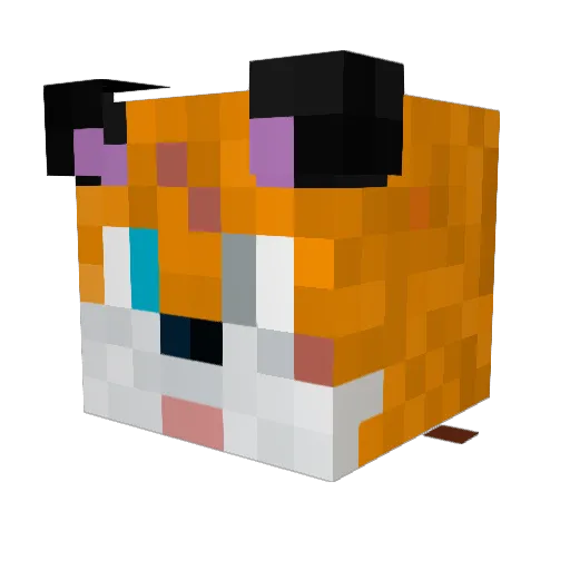 Annoying_Navi Minecraft avatar head, 3D render