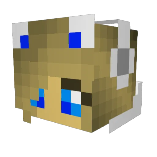 AnnyDeBouwer Minecraft avatar head, 3D render