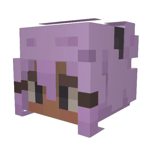 AnnySan Minecraft avatar head, 3D render