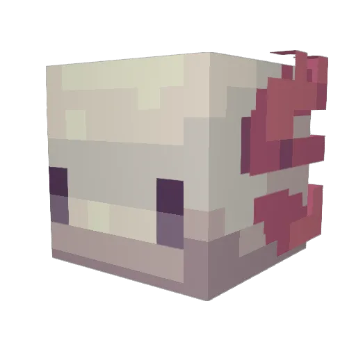 Ano_ Minecraft avatar head, 3D render