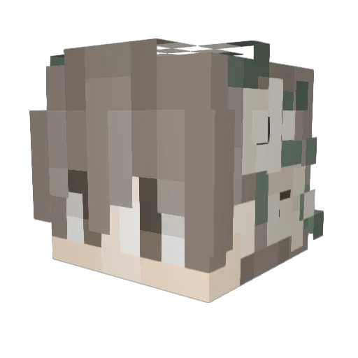 Anocis Minecraft avatar head, 3D render
