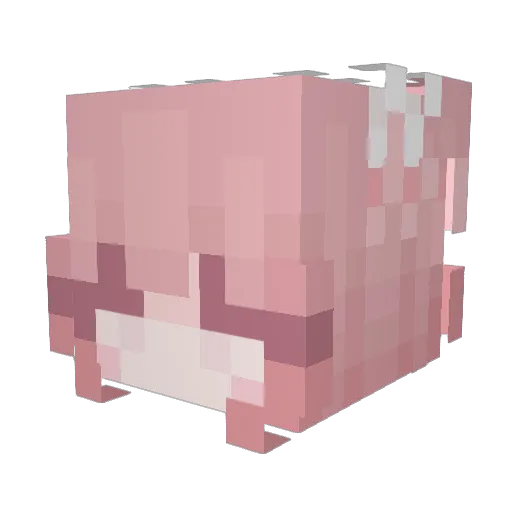 Anoditas Minecraft avatar head, 3D render
