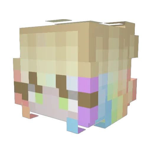 Anoekoek Minecraft avatar head, 3D render