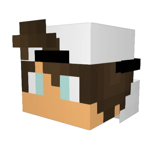 Anoimes_XS Minecraft avatar head, 3D render