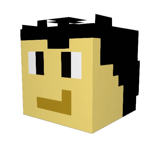 Anokata3545 Minecraft avatar head, 3D render