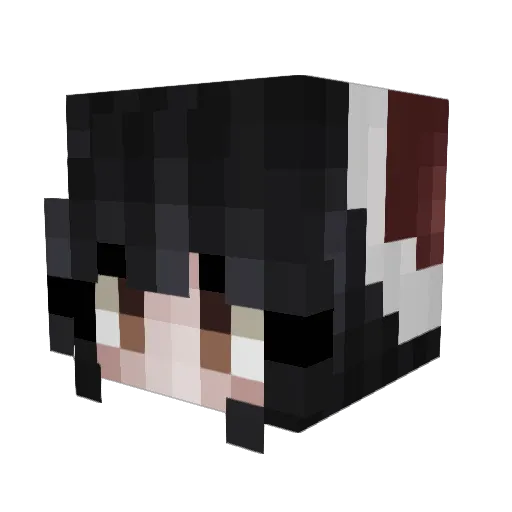 Anomalie Minecraft avatar head, 3D render