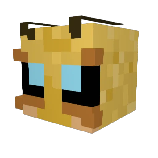 Anomaly12 Minecraft avatar head, 3D render