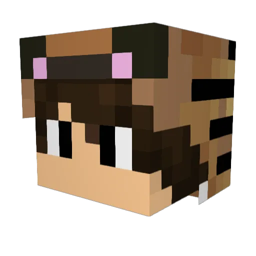 Anomica Minecraft avatar head, 3D render