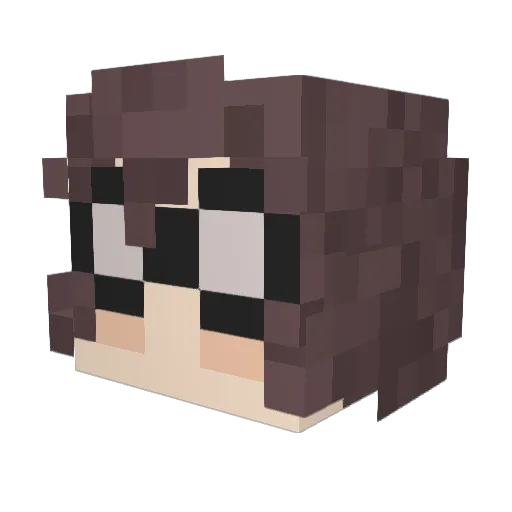 Anomidae Minecraft avatar head, 3D render