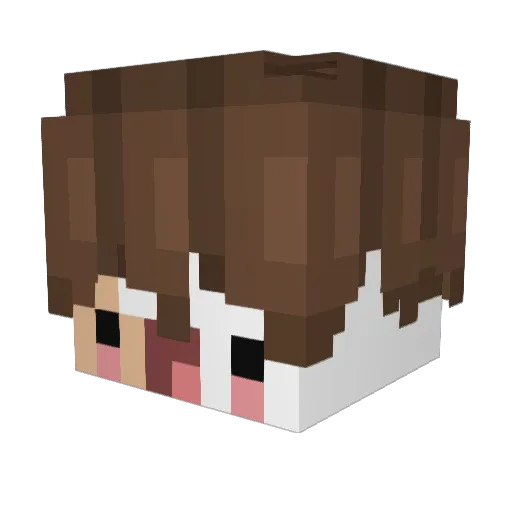 Anomino Minecraft avatar head, 3D render