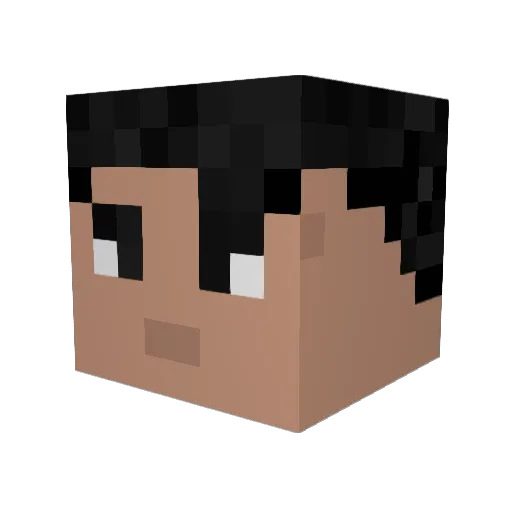 Anon210819 Minecraft avatar head, 3D render