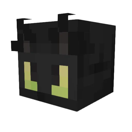 Anon64 Minecraft avatar head, 3D render