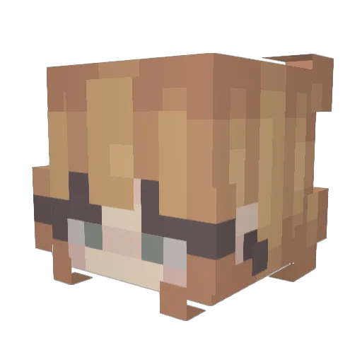 Anon6840 Minecraft avatar head, 3D render